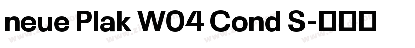neue Plak W04 Cond S字体转换